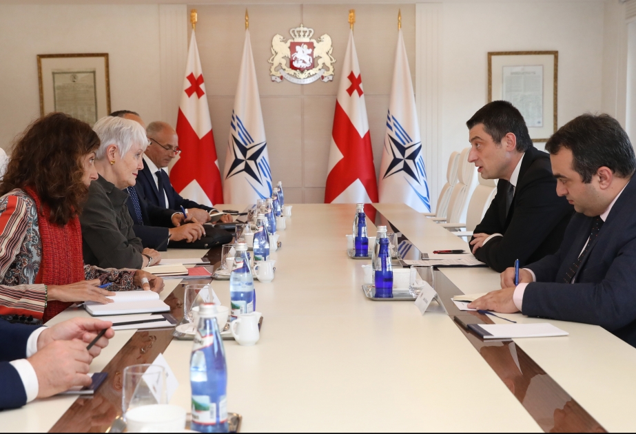 NATO PA sədri Gürcüstanın Baş Naziri ilə regiondakı vəziyyəti müzakirə edib