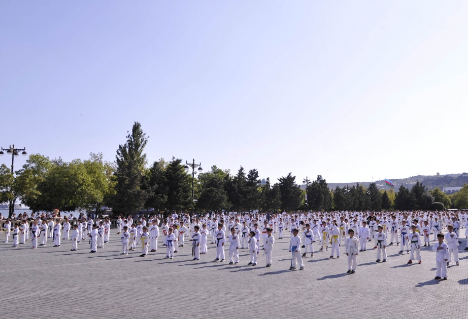 Dənizkənarı Milli Parkda açıq karate seminarı təşkil olunub VİDEO