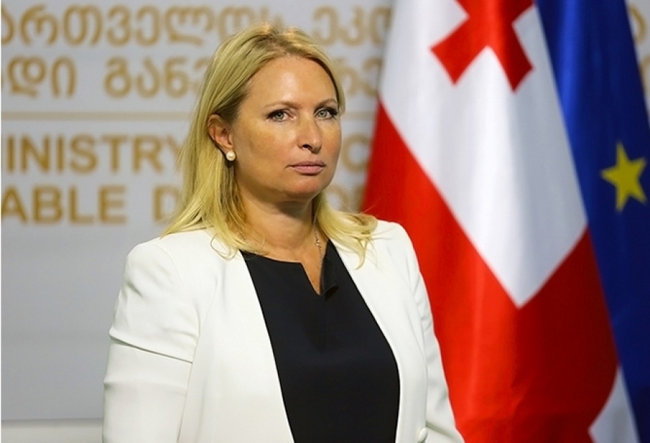 وزيرة الاقتصاد الجورجية تزور باكو