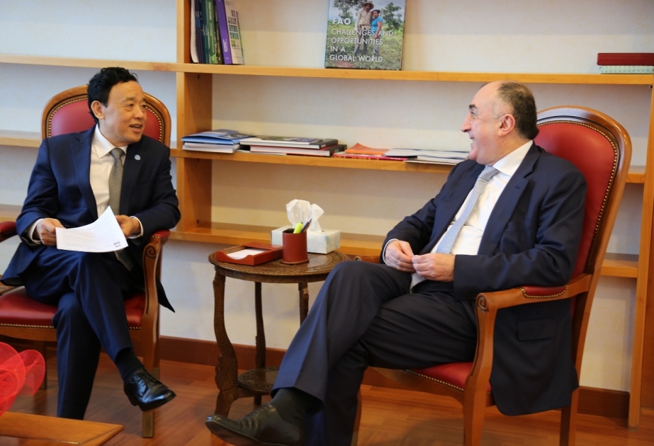 Elmar Mammadyarov se reúne con el director general de la FAO
