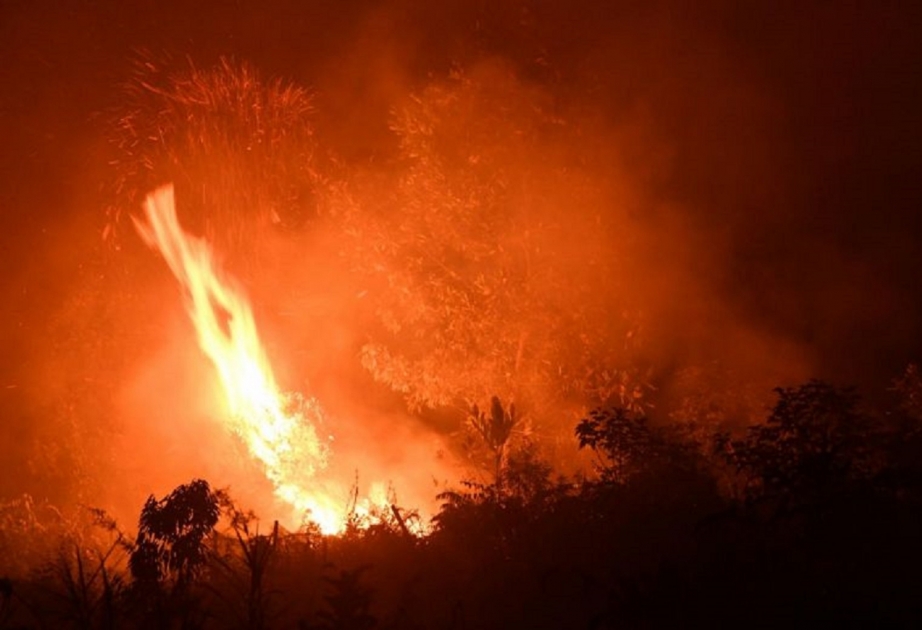 İndoneziya Prezidenti meşə yanğınları törədənlərin ciddi cəzalandırılması barədə göstəriş verib