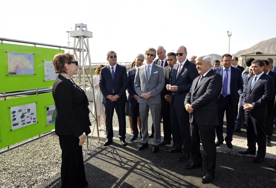 UNDP, SOCAR, BP support tree-planting to fight climate change in Azerbaijan