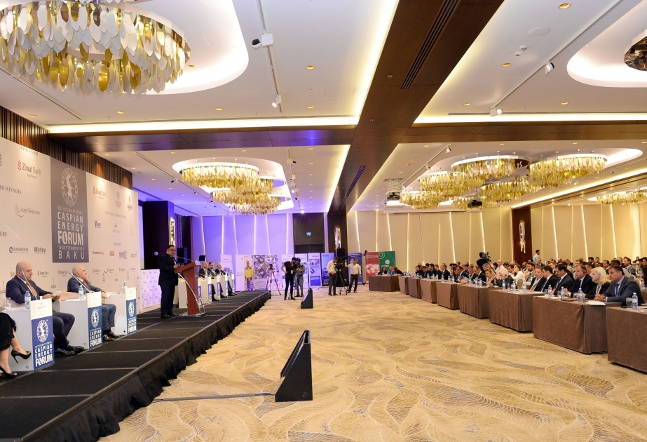 В Баку начал работу IX Международный Caspian Energy Forum – 2019 ВИДЕО