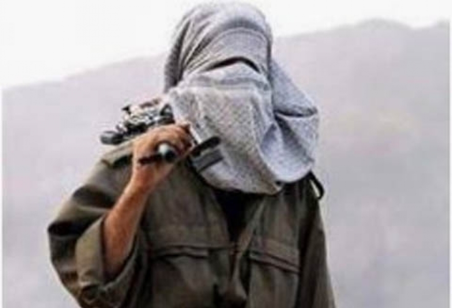 Yeddi terrorçu Türkiyənin təhlükəsizlik qüvvələrinə təslim olub