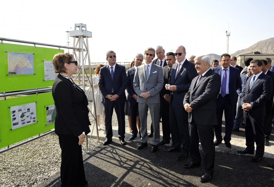 El PNUD, SOCAR y BP respaldan el proyecto de la plantación de árboles para luchar contra el cambio climático en Azerbaiyán