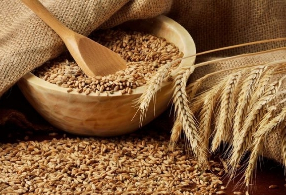 За январь-август в страну импортировано около 853 тысяч тонн пшеницы