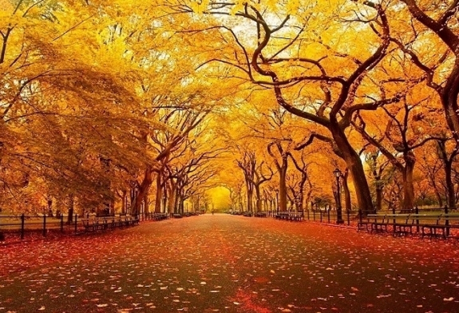 دخول فصل الخريف في أراضي البلد