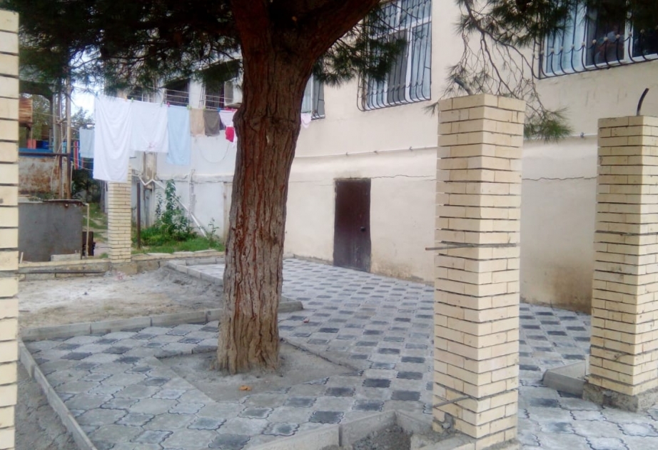 Səbail rayonunda ağacın dibini betonlayan şəxs barəsində akt və protokol tərtib olunub