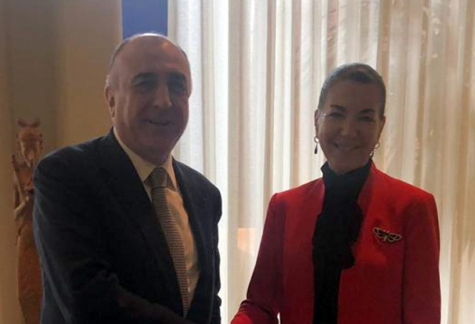 Ministro de Relaciones Exteriores de Azerbaiyán se reúne con Michèle Coninsx