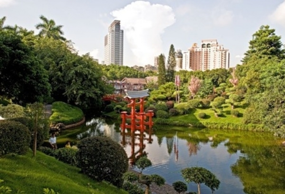 Şençjen “min park şəhəri”nə çevrilib