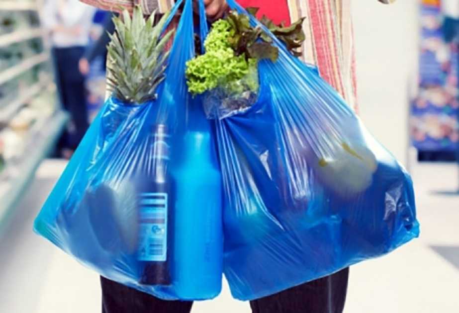 Rasim Səttarzadə: Plastik torbalarla bağlı təkliflər planı hazırdır və razılaşdırma mərhələsindədir VİDEO