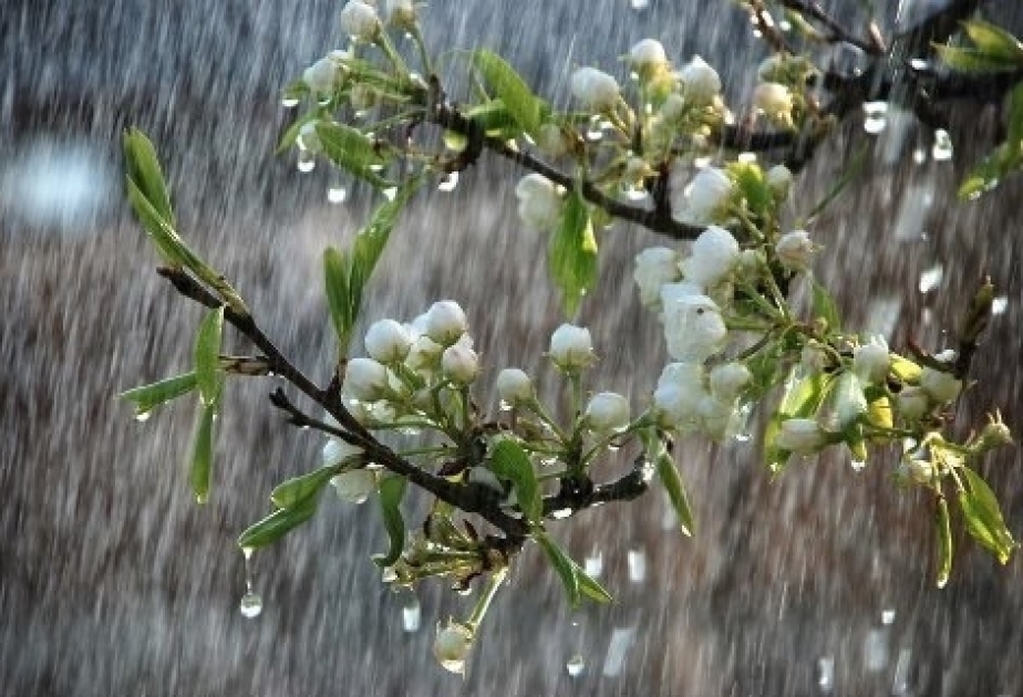 الأرصاد الجوية تتوقع المطر على المحافظات الشمالية والشرقية للغد
