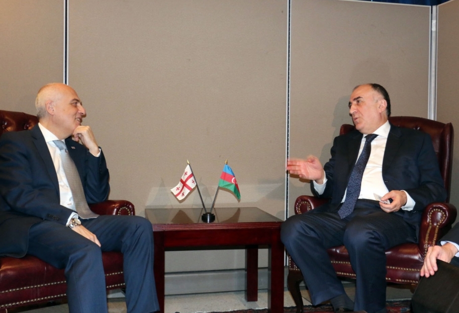 Azerbaijani, Georgian FMs meet in New York