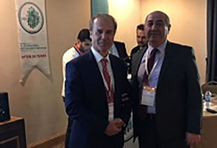 RSXM-in baş direktoru Türkiyədə keçirilən simpoziumda Azərbaycandakı seysmik vəziyyətdən danışıb