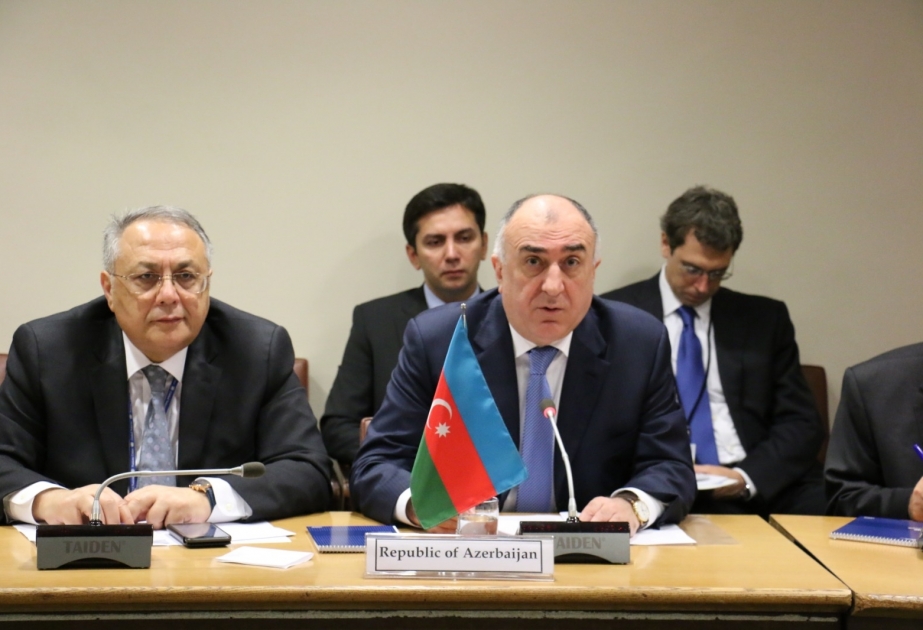 Elmar Məmmədyarov ECO-nun Xarici İşlər nazirlərinin iclasında iştirak edib VİDEO