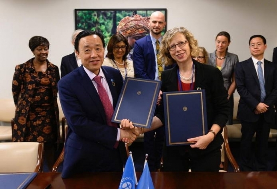 FAO y el Programa de las Naciones Unidas para el Medio Ambiente están ampliando las asociaciones