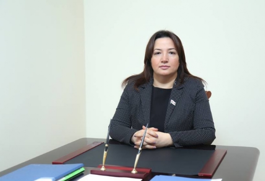 Pərvin Kərimzadə: Azərbaycan dünya birliyində güclü mövqeyə malik bir ölkəyə çevrilib