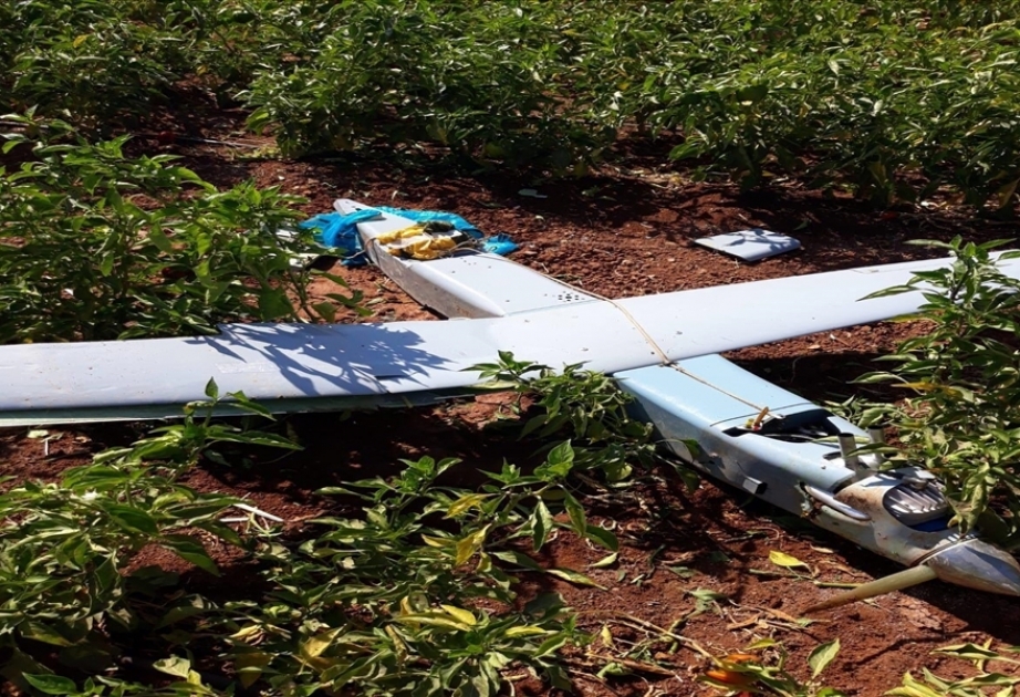 Türkiyə qırıcısı ölkənin hava sərhədini altı dəfə pozan pilotsuz aparatı vurub