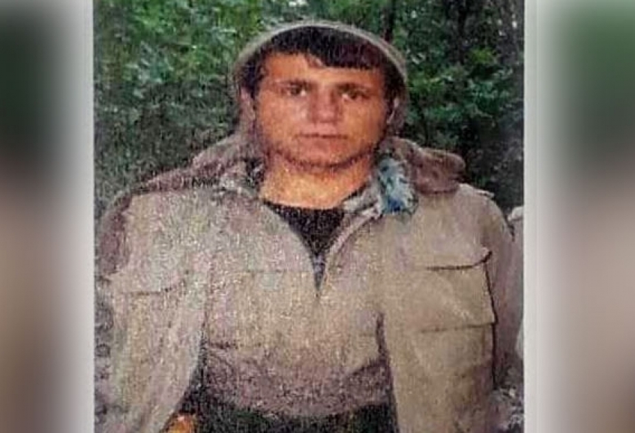 Wanted PKK terrorist among neutralized in Turkey