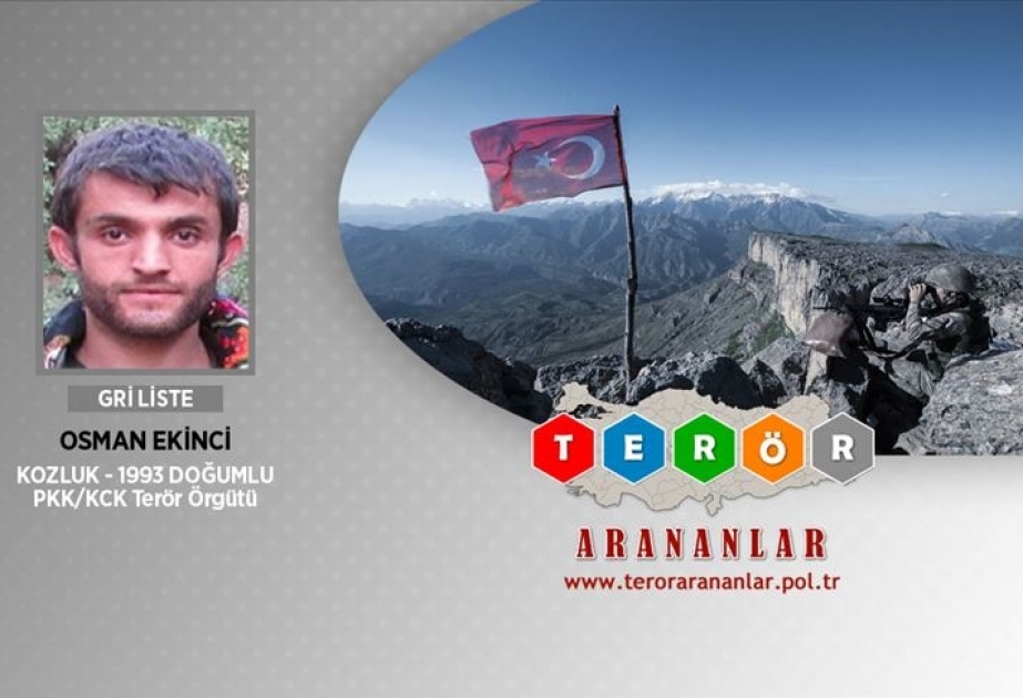 Türkiyədə axtarışda olan daha bir terrorçu məhv edilib