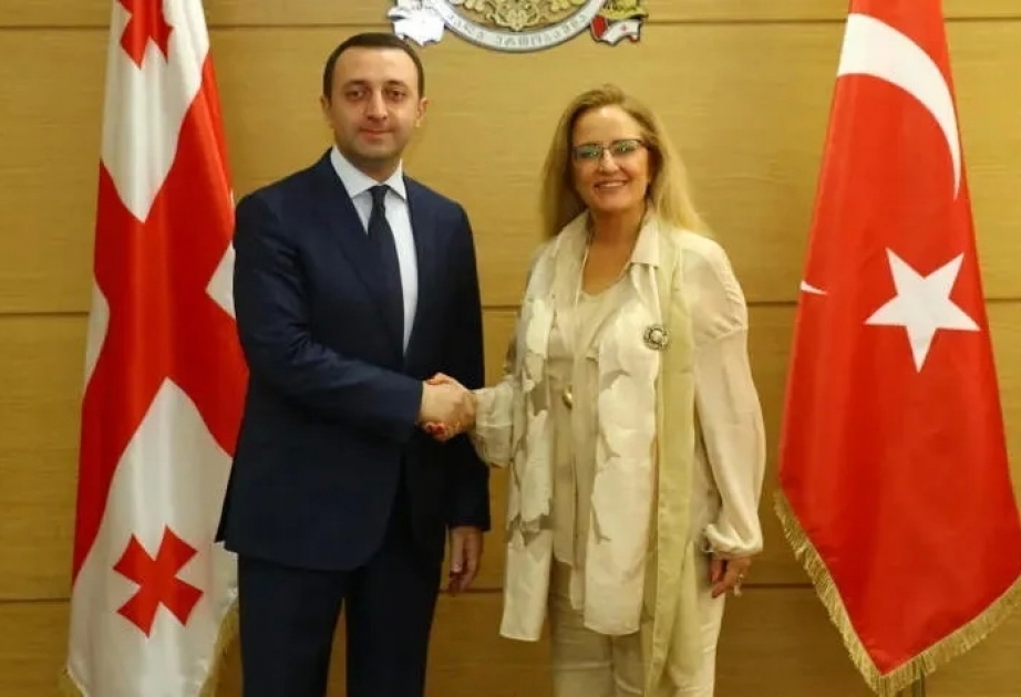 Gürcüstan ilə Türkiyə hərbi sahədə əməkdaşlığın dərinləşməsində maraqlıdır