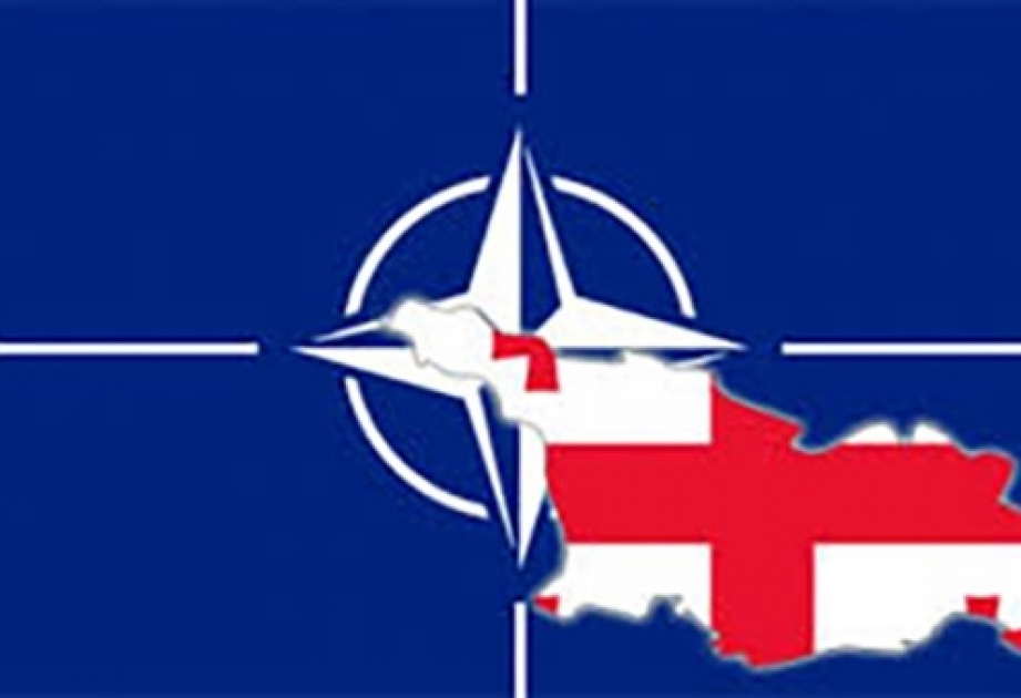 Gürcüstanda NATO günləri başlayıb