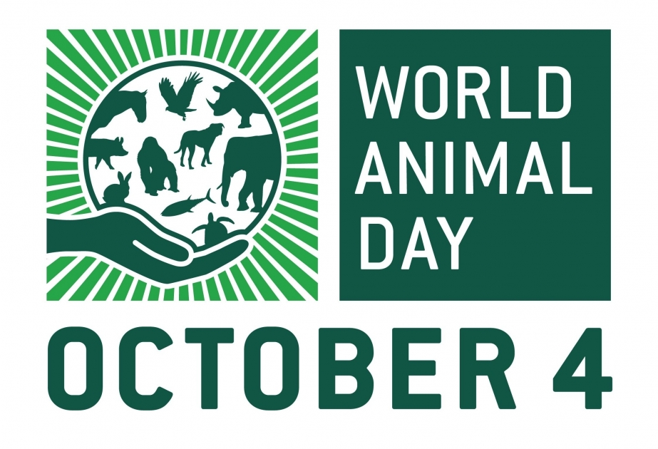 Сегодня Всемирный день защиты животных