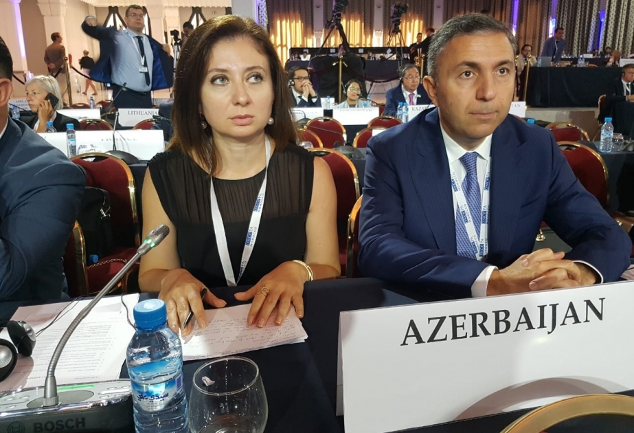 Ülviyyə Ağayeva: Gender bərabərliyi Azərbaycanın demokratik keçmişindən irəli gəlir