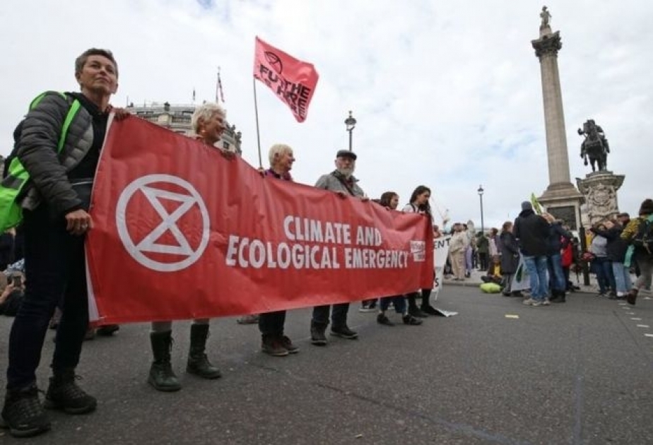 Экоактивисты проводят митинги в 60 городах мира