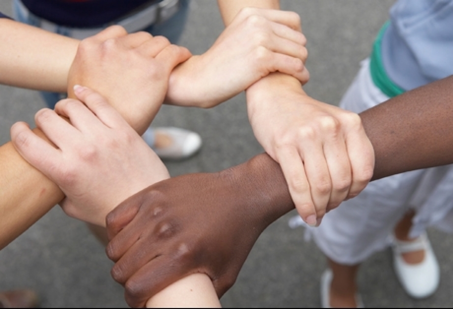 Beobachtungszentrum soll am 21. März 2020 eingerichtet werden, dem Welttag gegen Rassismus