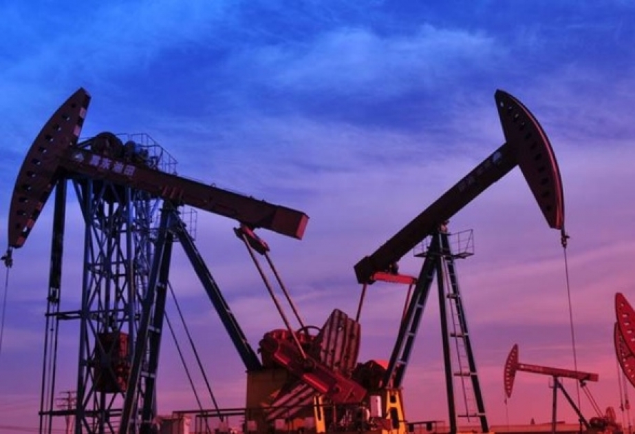 Beynəlxalq Enerji Agentliyi qlobal neft tələbatına dair proqnozunu azaldıb