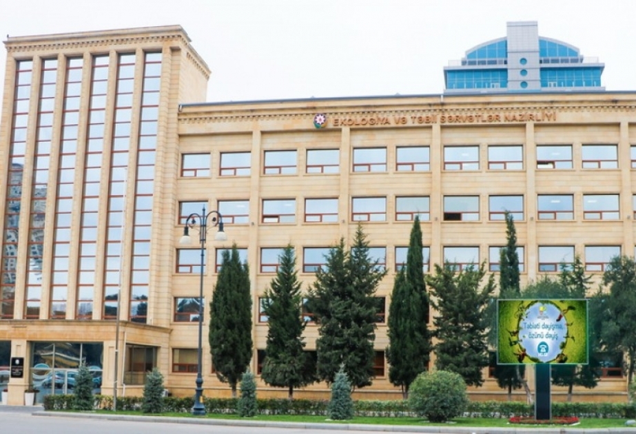 Hazırda 550 nohurçuluq təsərrüfatının qeydiyyata alınması ilə bağlı işlər davam edir