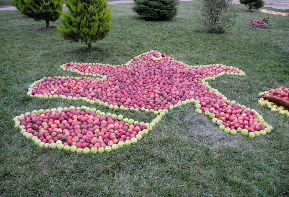 Fête de la pomme à Gouba