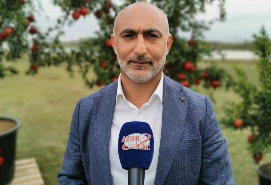 رجل أعمال الأذربيجاني ينشئ مزرعة للنوع الجديد والخصيب من الرمان في كولومبيا  تصدير الرمان إلى روسيا والدول العربية من مزارع حاجيقبول