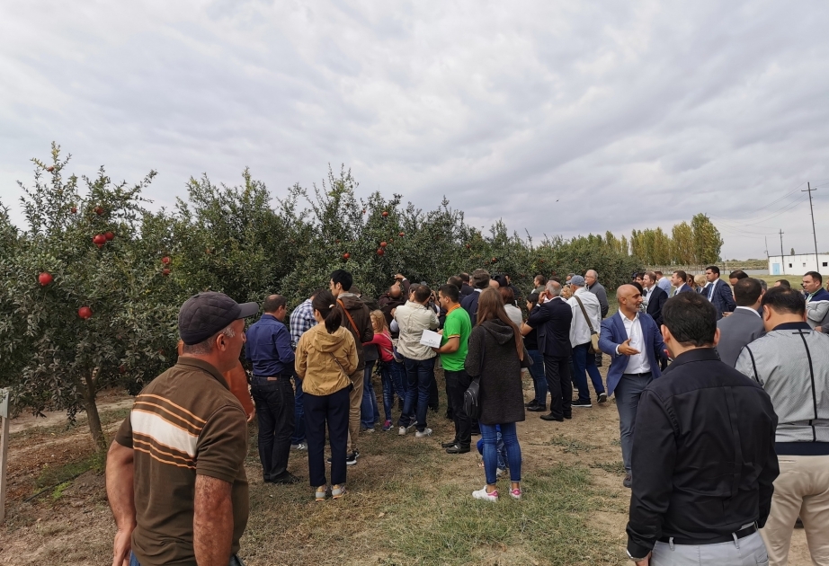 "Von der Stadt aufs Dorf": Agrotour "Granatapfel-Tal" für diplomatisches Korps