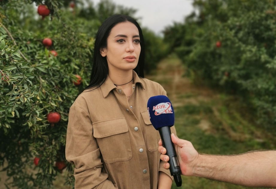 تصدير المنتجات الزراعية المعبأة في أذربيجان إلى الأسواق الخارجية تحت علامة تجارية جديدة