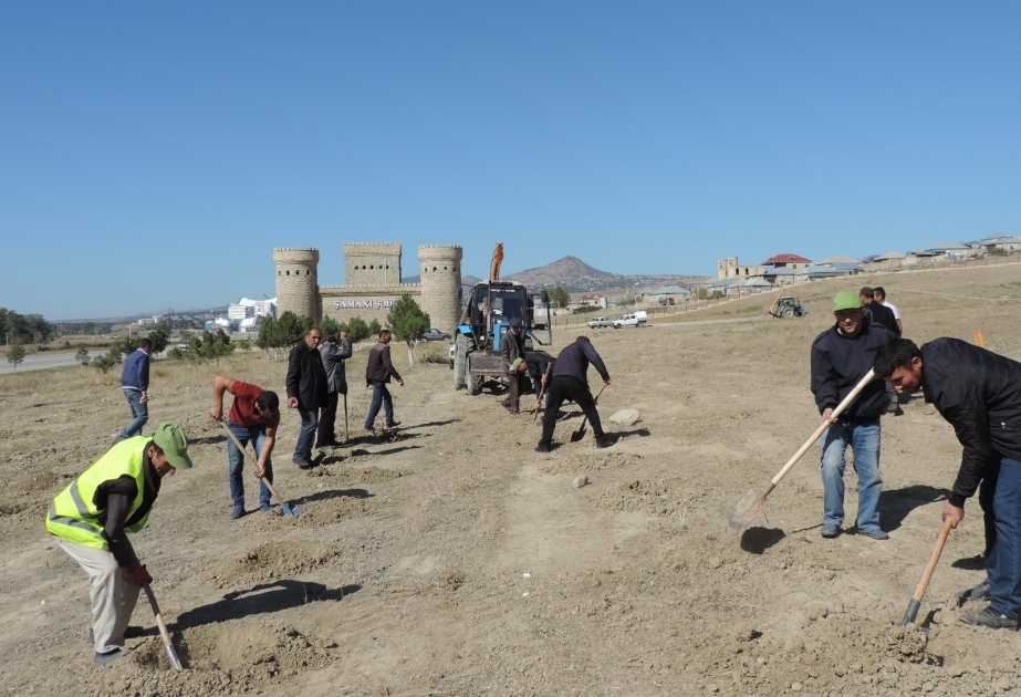 Shamakhi getting ready for massive tree planting campaign VIDEO
