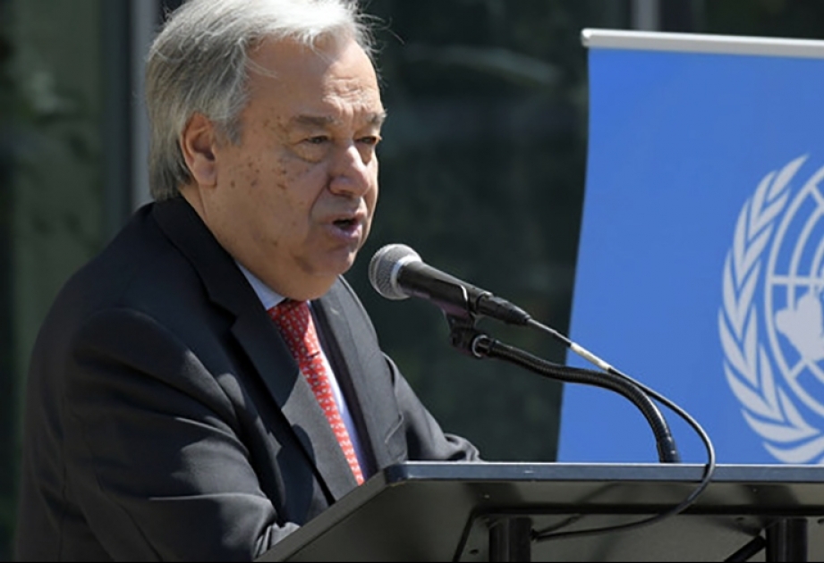 Антониу Гутерриш: климатическая чрезвычайная ситуация представляет собой растущую угрозу продовольственной безопасности