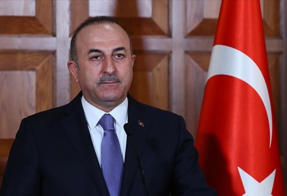Cavusoglu: Pause of Turkey's op in Syria not cease-fire