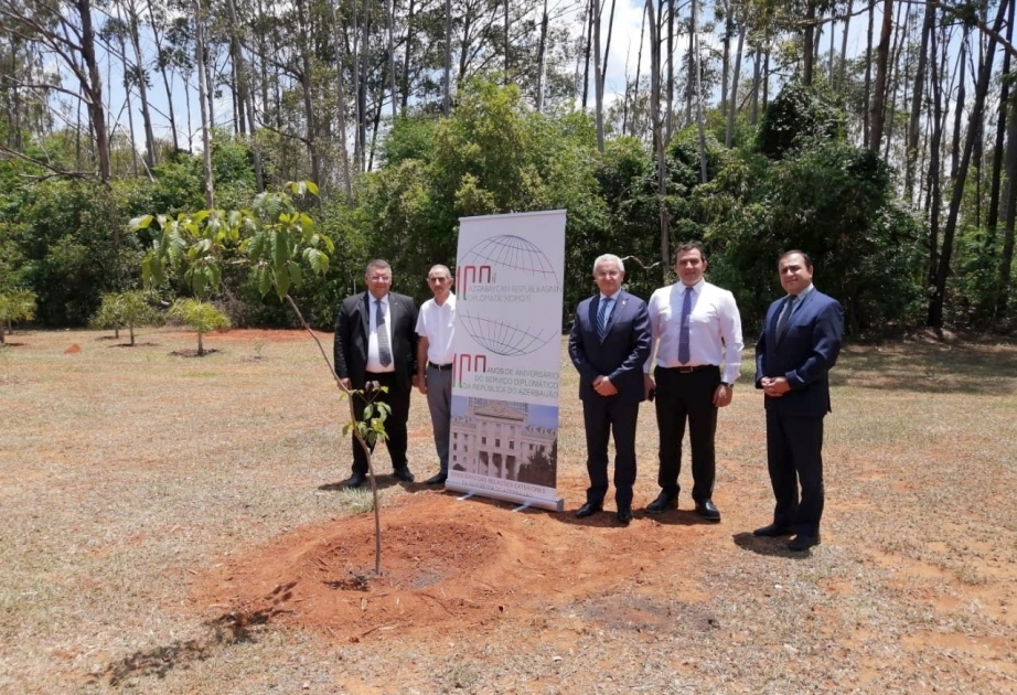 Aserbaidschanische Botschaft in Brasilien organisiert Baumpflanzaktion