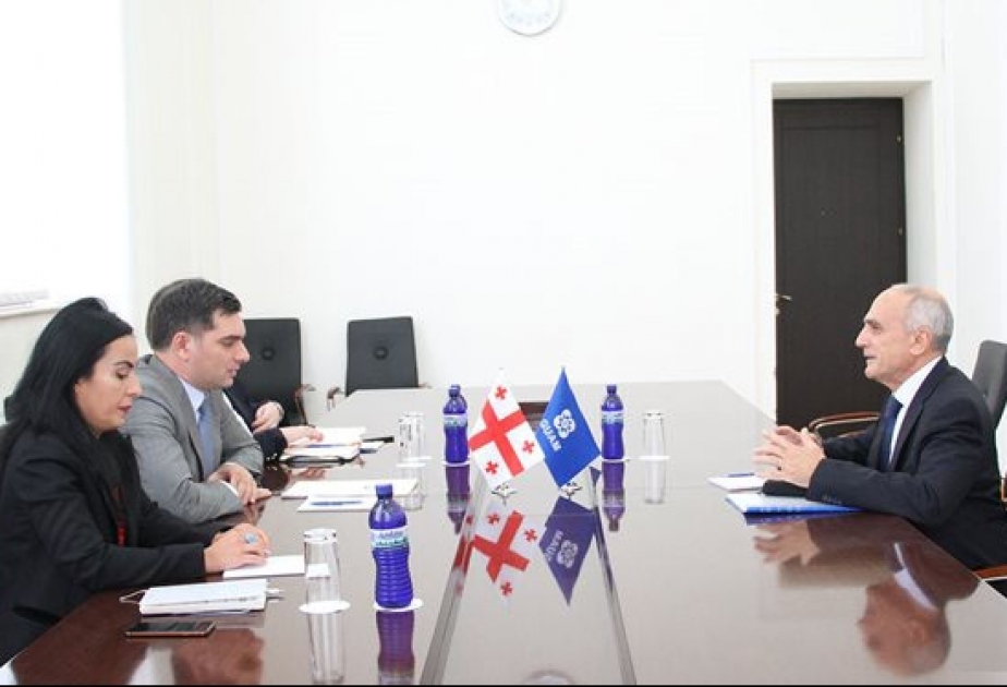 Tbilisidə GUAM çərçivəsində əməkdaşlığın perspektivləri müzakirə olunub