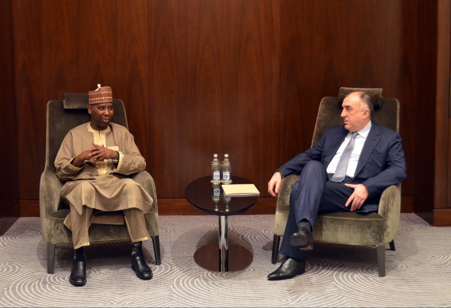 Tijjani Muhammad-Bande: Azerbaijan plays active role within UN