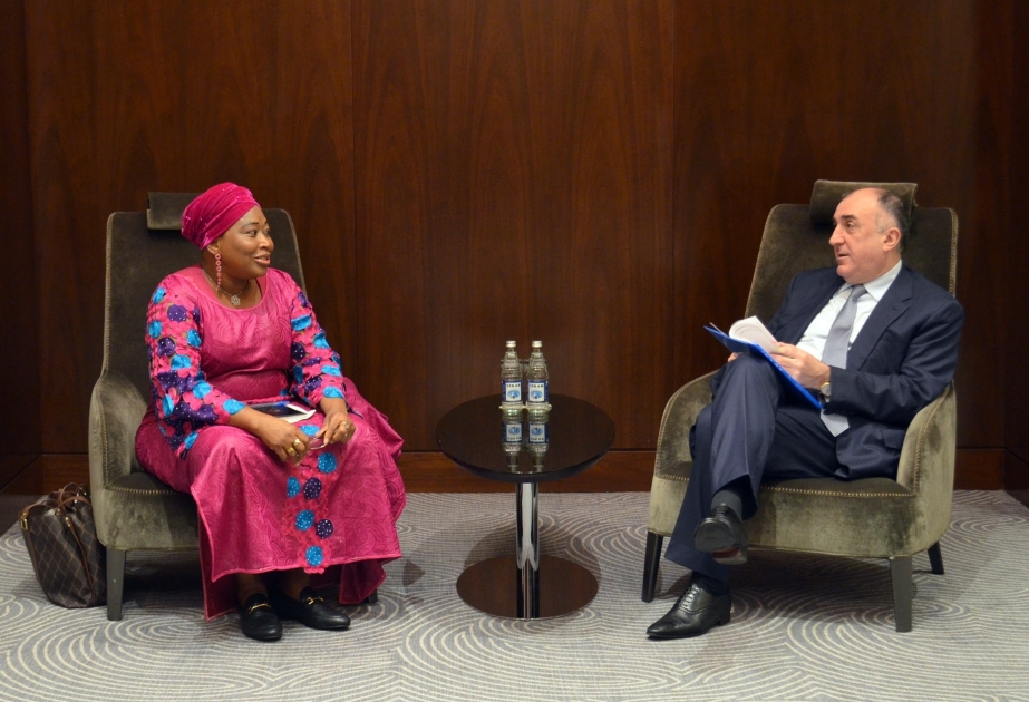 FM Mammadyarov: Azerbaijan is interested in deepening cooperation with African Union