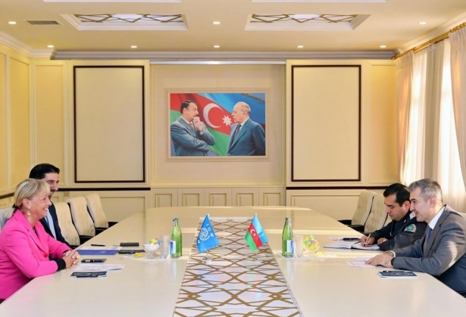 Azerbaijan`s State Migration Service, IOM discuss prospects for cooperation