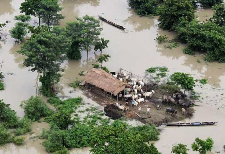 印度南部暴雨致13人遇难