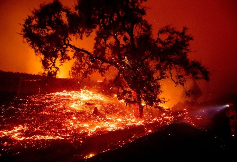 US-Bundesstaat Kalifornien: Starke Winde mehrere Waldbrände angefacht