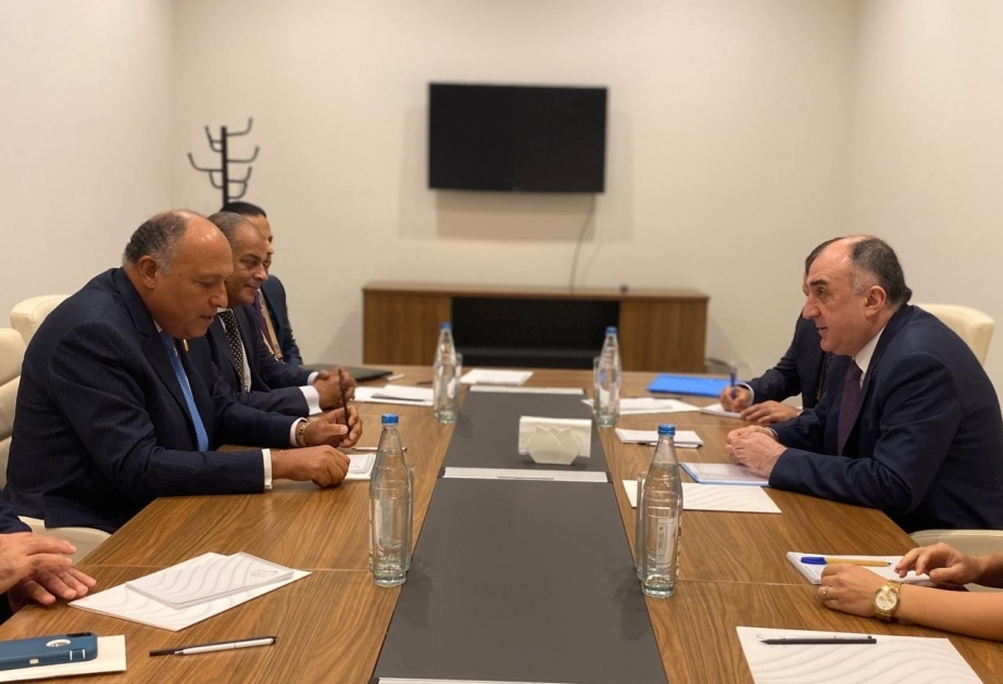 Azerbaijani, Egyptian FMs meet in Baku