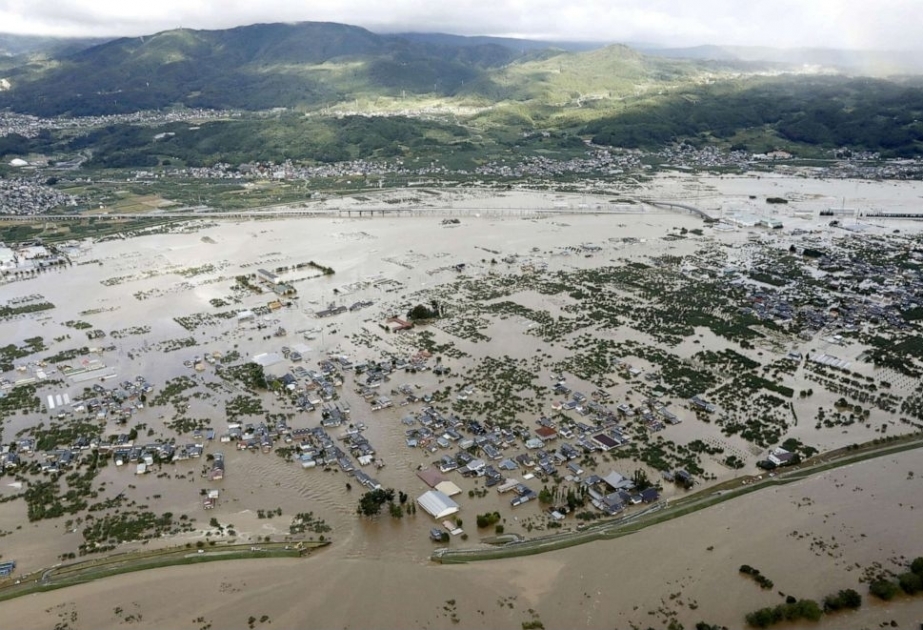 Japanese typhoon farm, forest, fishery losses top $1.5 billion
