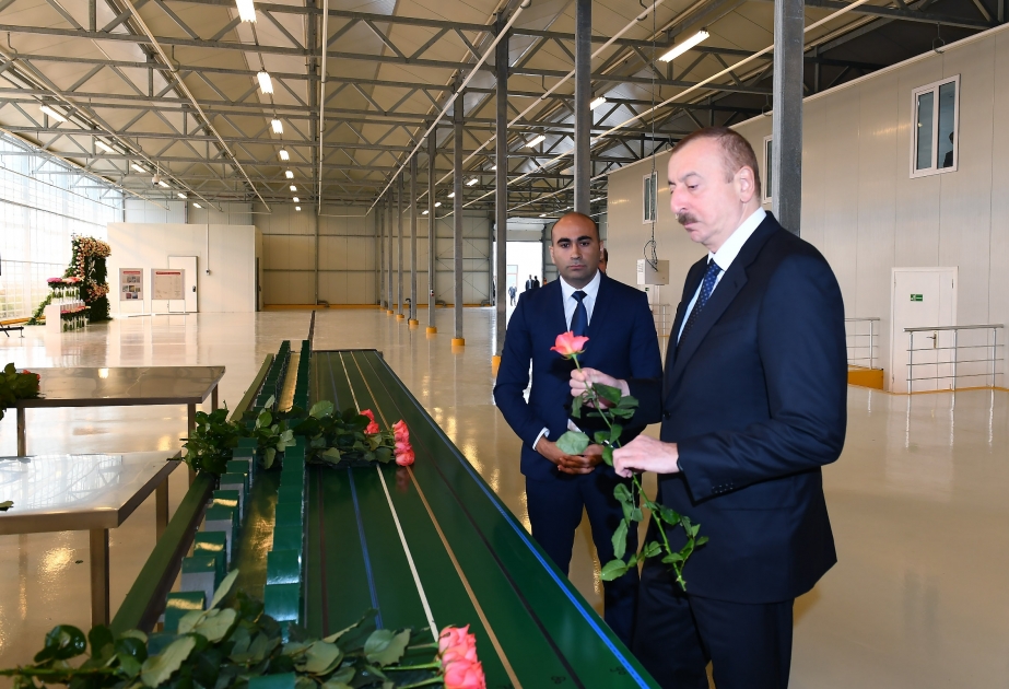 Le président Ilham Aliyev visite une serre aux fleurs à Guébélé VİDEO