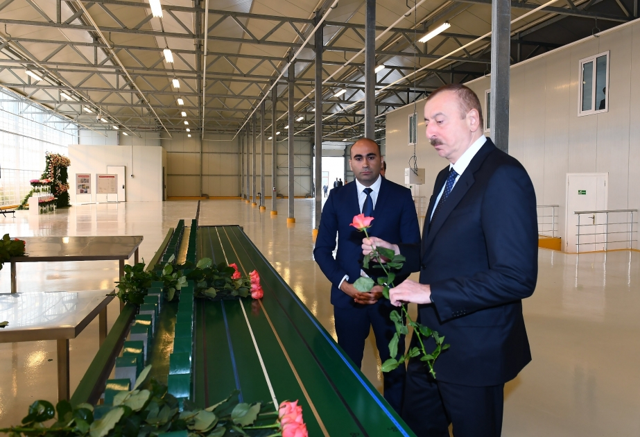 Präsident Ilham Aliyev besucht Blumengewächshaus in Gabala VIDEO